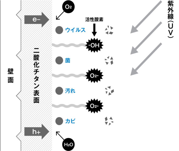 光触媒とは?